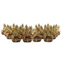 21 Tara Statue Set consists of female deities.