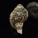 Tibetan Buddhist Beautiful Vajravarahi Dakini Carved Conch Shell Horn