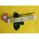 Chenrezig Tibetan Incense - Compassion - Natural Herbal - Handmade From Nepal